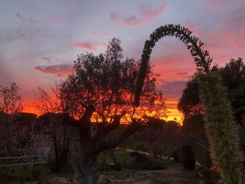 Porches : Dégustation de vin au coucher du soleil avec barbecue