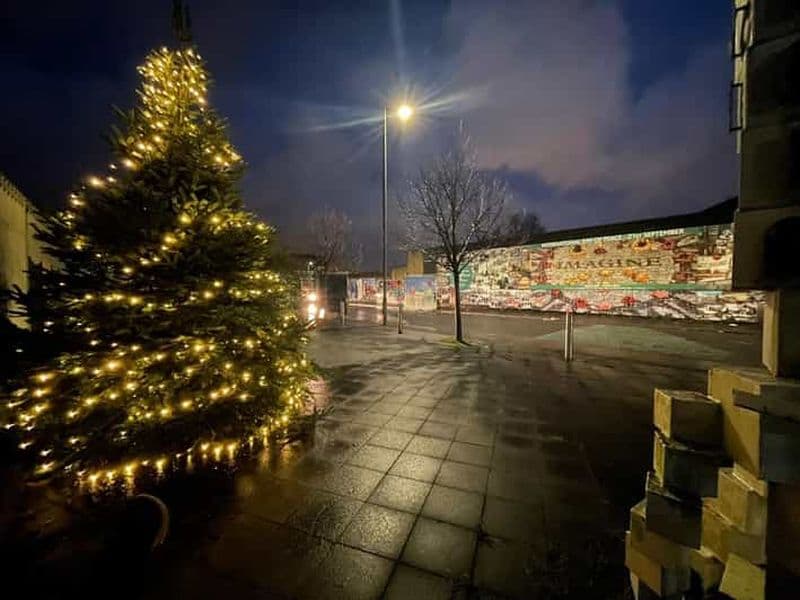 Belfast : Visite du mur de la paix et de la peinture murale