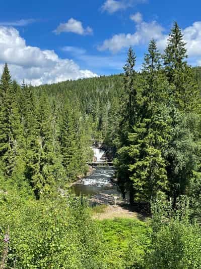 Tour en VTT électrique dans la forêt d'Oslo avec GPS