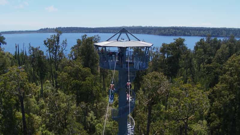 Hokitika : Tour de tyrolienne et marche dans les arbres de la côte ouest