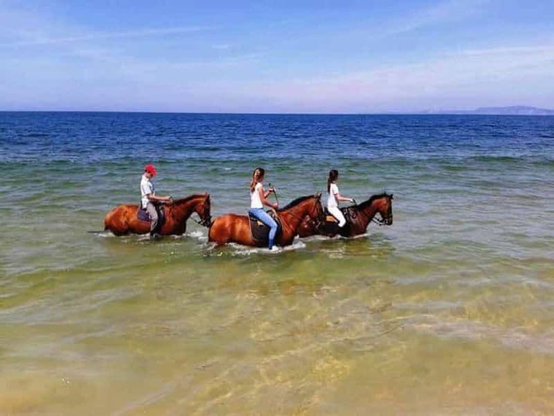 Randonnée à cheval sur la plage, avec transfert privé depuis Lisbonne