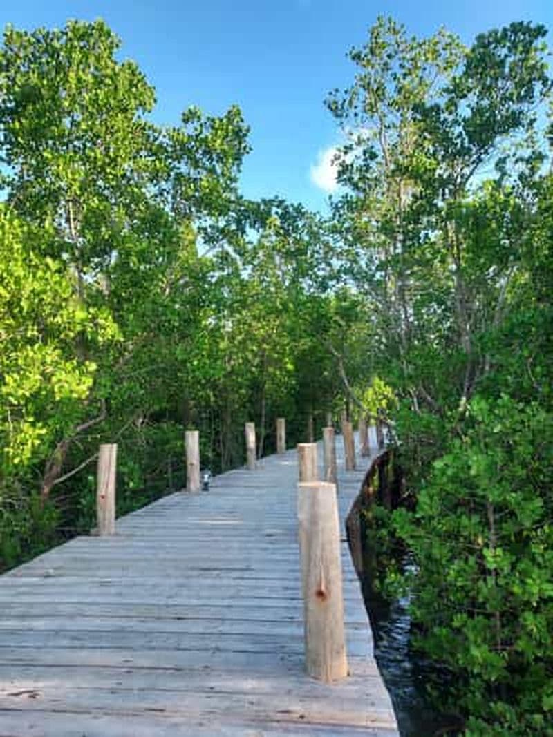 Zanzibar : la forêt de Jozani et le bar de plage Kae Funk au coucher du soleil