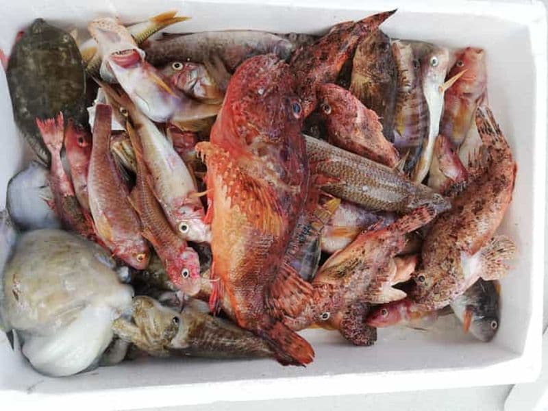 Billet Zakynthos : Visite d'une journée à la pêche écologique traditionnelle avec repas