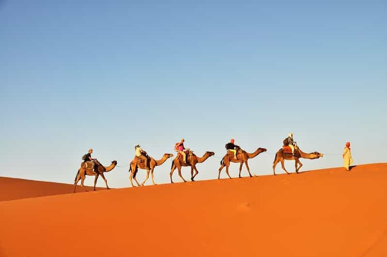 Randonnée chamelière de 3 jours dans le désert du Sahara à partir de Douz