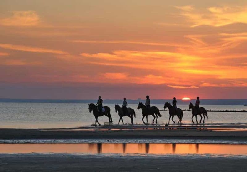 Agadir et Taghazout : Promenade matinale à cheval sur la plage