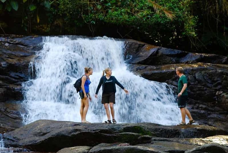 Paraty : Cascades de la jungle et visite de la distillerie de Cachaça en jeep