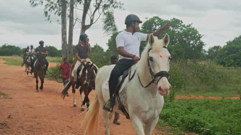 Bangalore : Tombez amoureux de plus de 100 chevaux et de plus de 20 poneys.