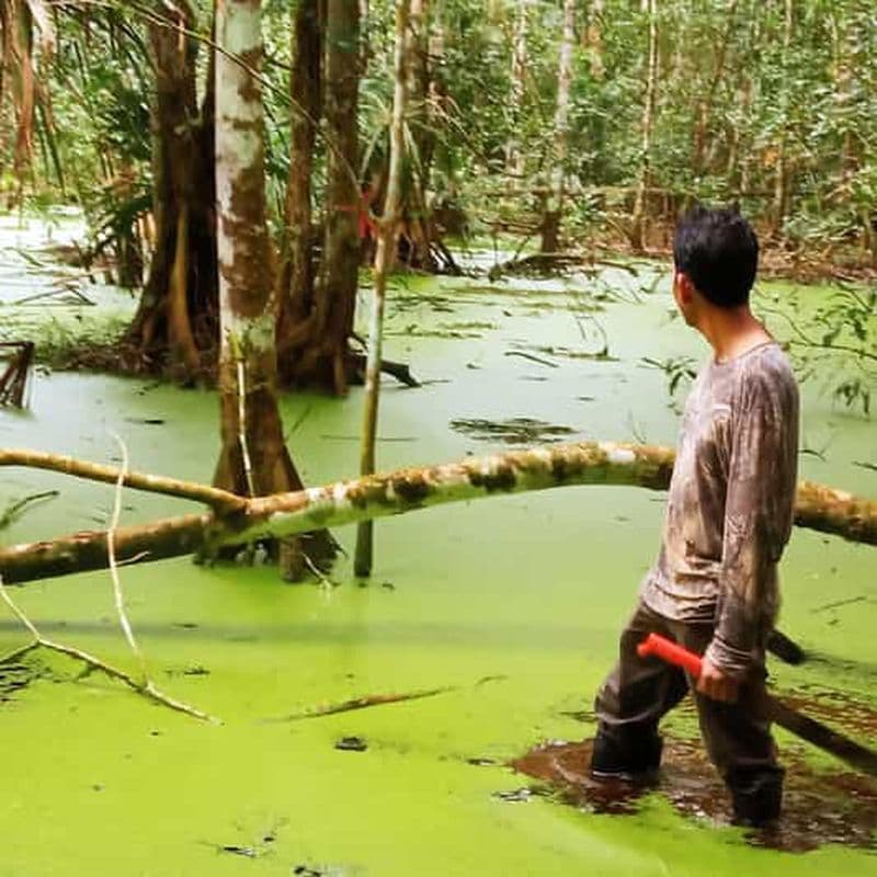 VOYAGE DE SURVIE EN AMAZONIE