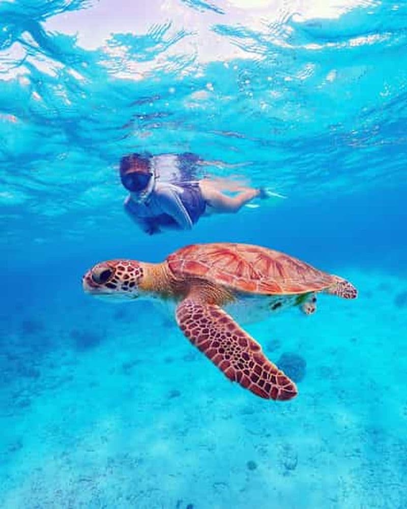 Bonaire : Plongée en apnée dans le parc marin avec 2 arrêts