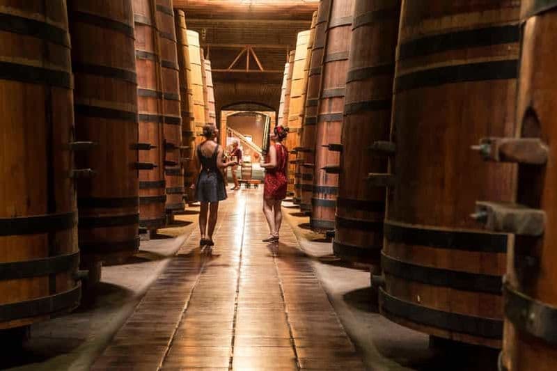 Santiago : Visite officielle du vignoble Cousiño Macul avec dégustation