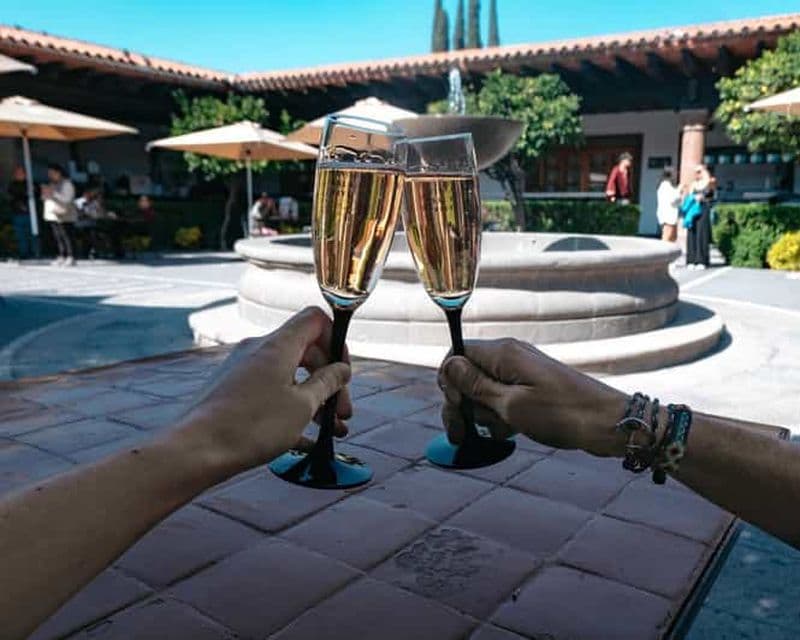 Billet Querétaro : Visite d'une journée autour du fromage et du vin