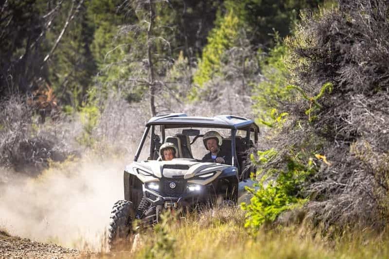 Queenstown : visite guidée en buggy autonome