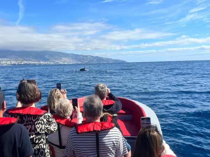 Billet Funchal : bateau à moteur VOIR L'ÎLE ET LA VIE EN MER