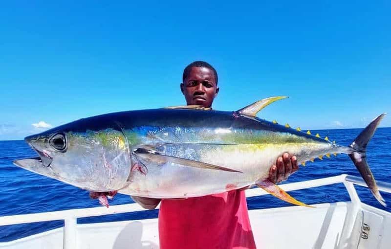 Billet EXPÉRIENCE DE PÊCHE AU ZANZIBAR