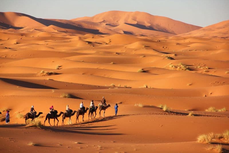 Safari dans le désert de Merzouga
