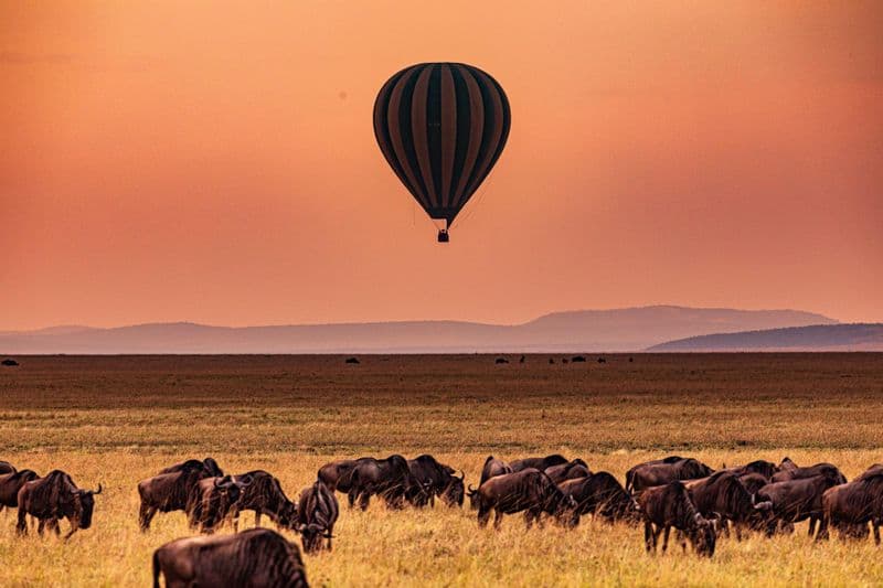 Vol en montgolfière au-dessus du Serengeti