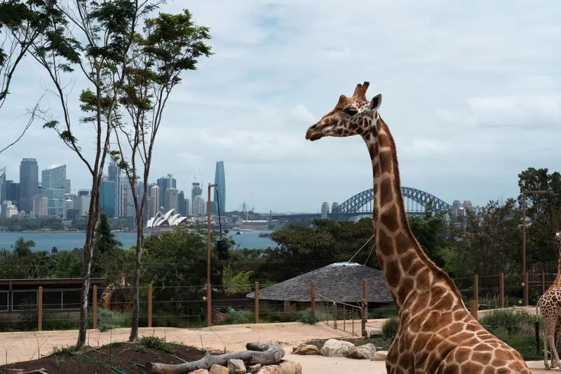 Zoo de Taronga