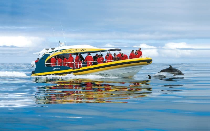 Excursion d'une journée sur l'île de Tasman avec croisière et déjeuner au départ de Hobart