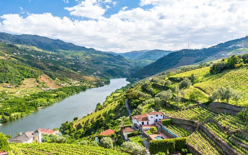 Visite guidée classique de la vallée du Douro avec 1 heure de croisière sur le Pinhão, déjeuner traditionnel et dégustations