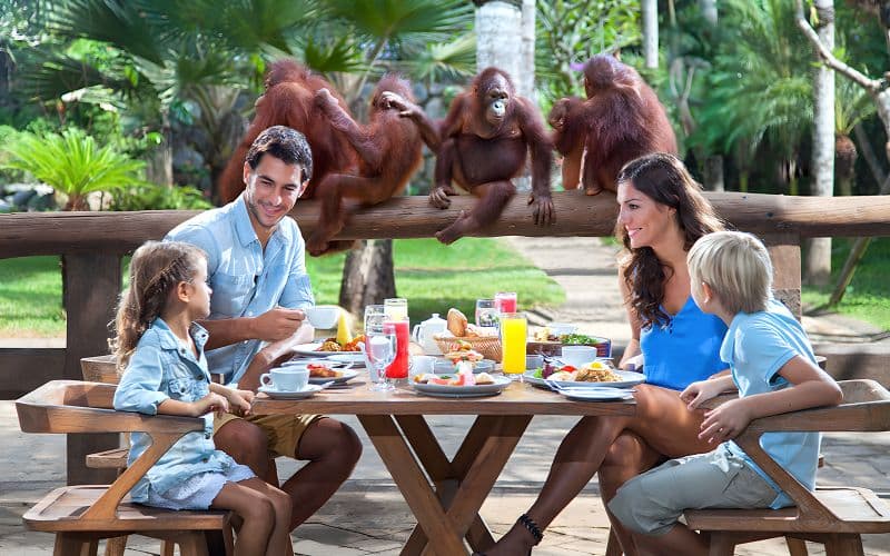 Billets pour le Zoo de Bali + petit-déjeuner avec les orangs-outans