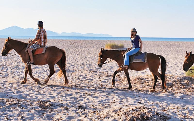 Équitation à Majorque : Balades à cheval sur la plage à Majorque