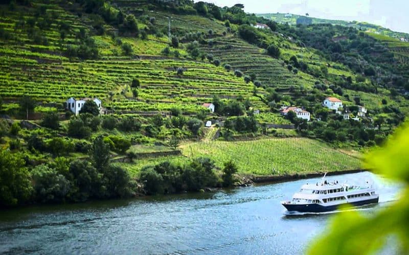 Depuis Porto : Excursion d'une journée dans la vallée du Douro avec croisière sur la Régua et déjeuner