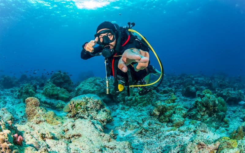 L'île de Moreton : Visite de plongée sous-marine à Tangalooma