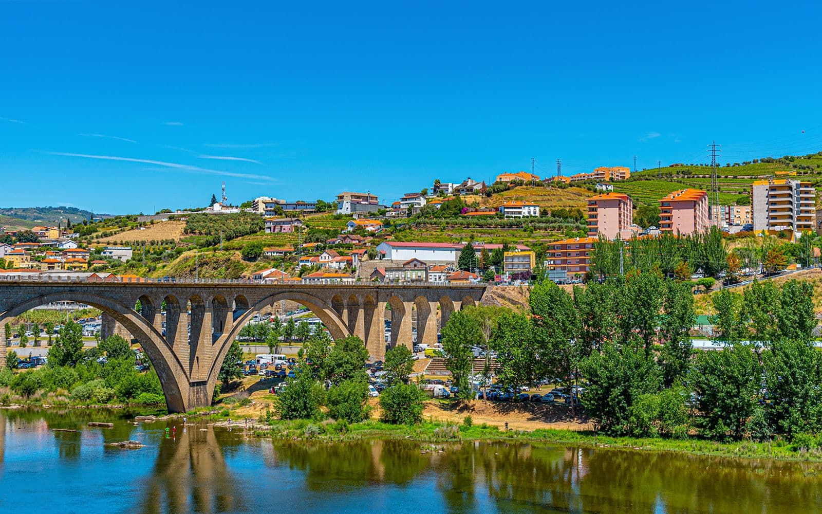 Billet Visite guidée de la vallée historique du Douro avec croisière d'une heure sur le Pinhão, déjeuner traditionnel et dégustations