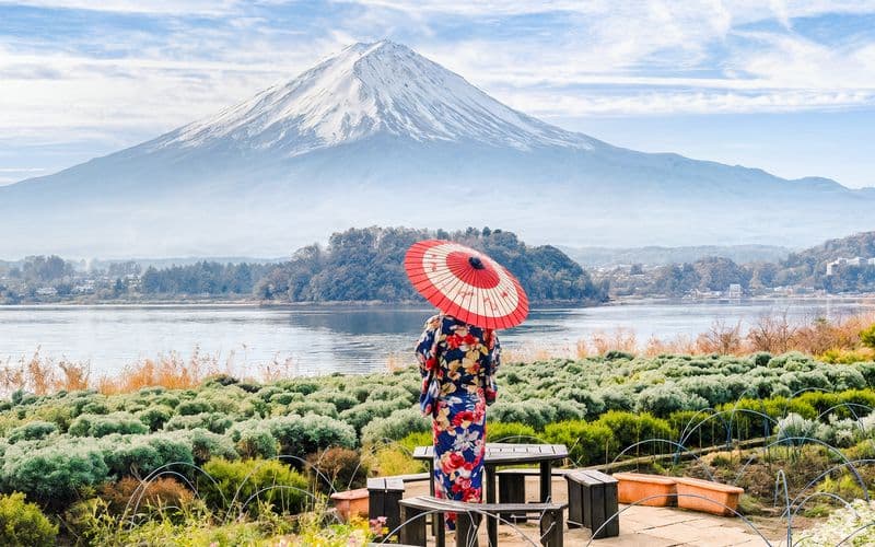 Visite Instagrammable du Mont Fuji : Pagode Chureito, parc Oishi, magasin d'horlogerie Hikawa, magasin Lawson, et plus encore.