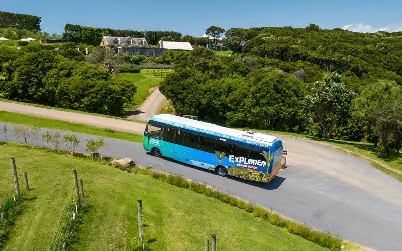 Western Explorer : visite en bus à arrêts multiples de l'île de Waiheke avec transferts en ferry en option
