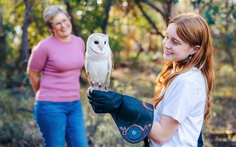 Billet Margaret River : Billets pour le Capes Raptor Centre avec spectacle d'oiseaux de proie et photo de hibou