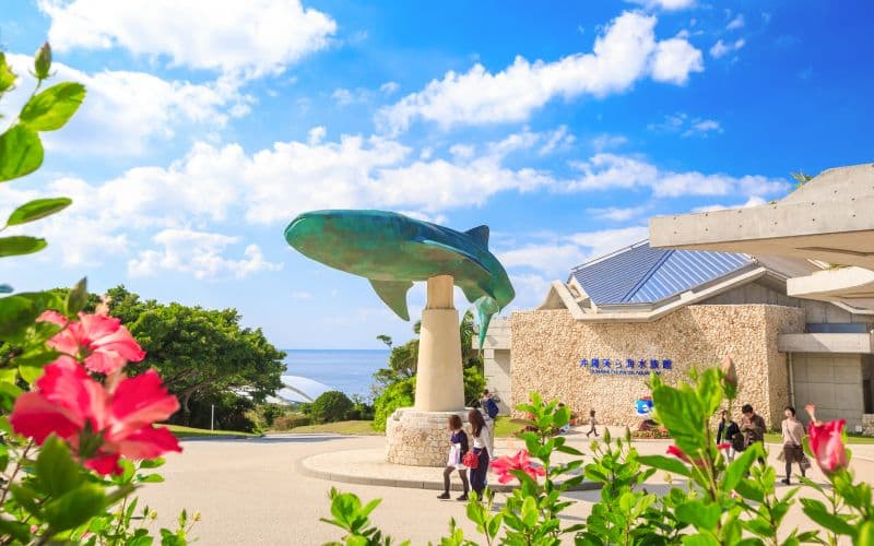 Visite en bus d'Okinawa avec l'aquarium de Churaumi, le tour en bateau de verre et le village américain
