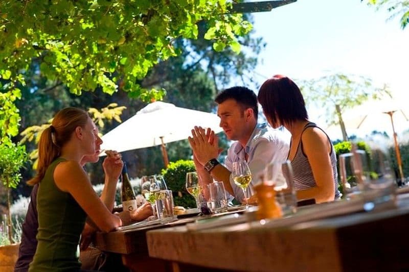 Visite des vignobles de la vallée de Waipara au départ de Christchurch