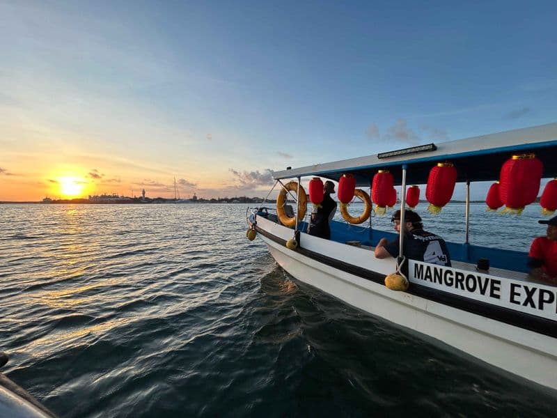 Billet Croisière dans les mangroves de Bali avec dîner