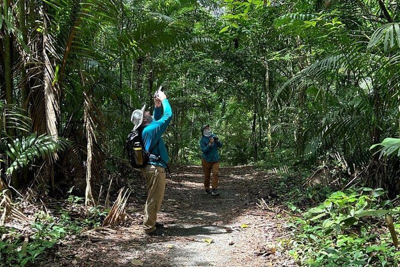 Randonnée dans le Parc National de Soberanía depuis la Ville de Panama