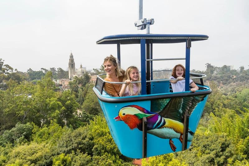 Billets pour le San Diego Zoo Safari Park