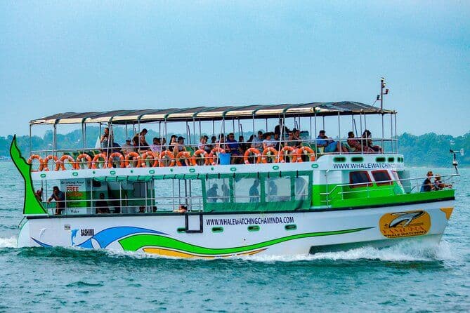 Billet Croisière d'observation des baleines et des dauphins à Galle