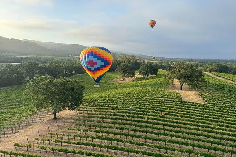 Vol en montgolfière au-dessus des vallées de Napa et Sonoma