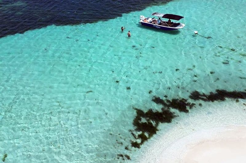 Billet Excursion de snorkeling à la Lagune Bleue en Guadeloupe