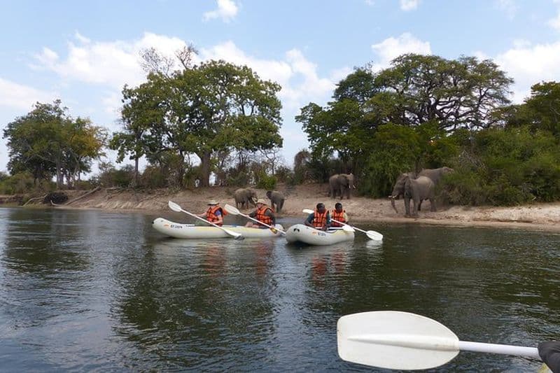 Balade en kayak sur le fleuve Zambèze aux Chutes Victoria