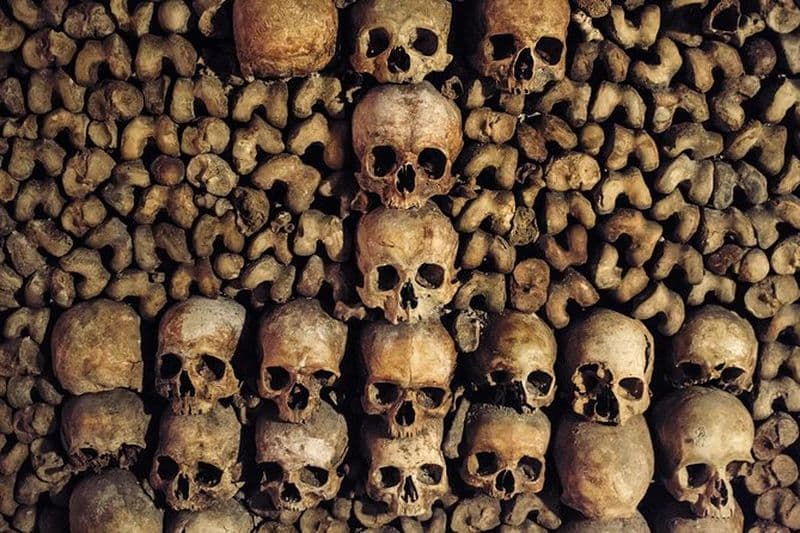 Visite guidée des Catacombes de Paris avec accès spécial