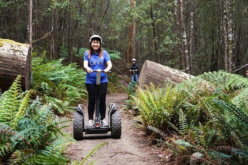 Tour en Segway dans la forêt de Hollybank