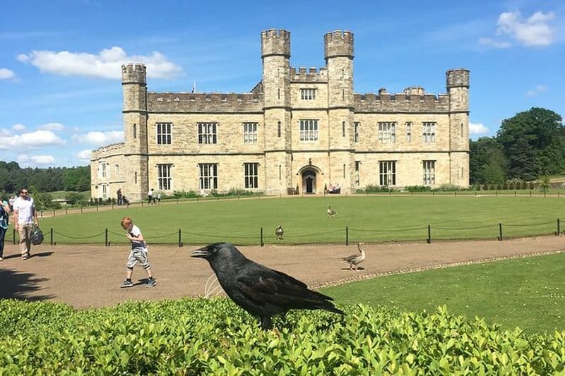 Billet Excursion privée d'une journée au château de Leeds au départ de Londres