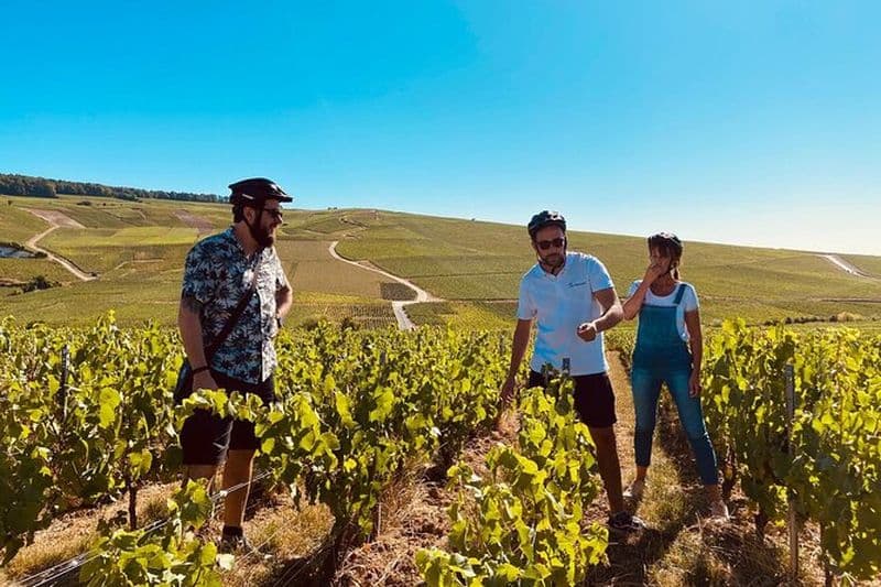 Tour du champagne en vélo électrique à Reims