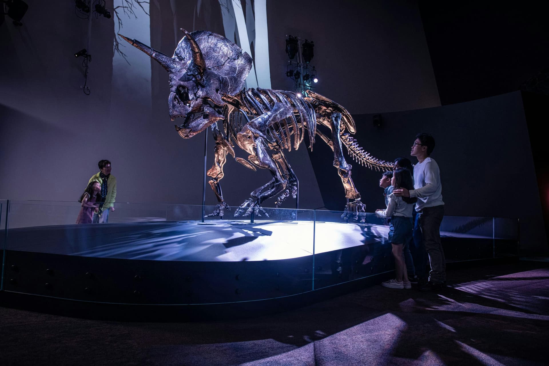 Billets pour le Melbourne Museum
