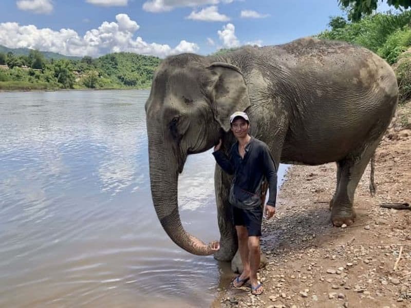 Billet Excursion d'une journée de randonnée thérapeutique avec éléphants depuis Luang Prabang