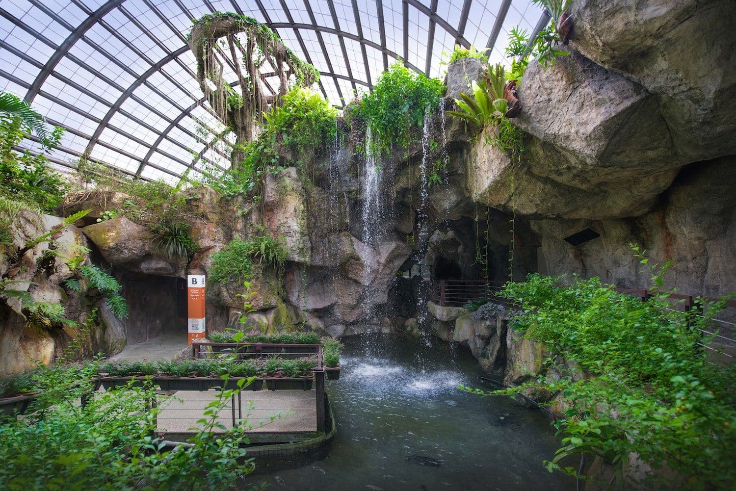 Billets pour Entopia by Penang Butterfly Farm