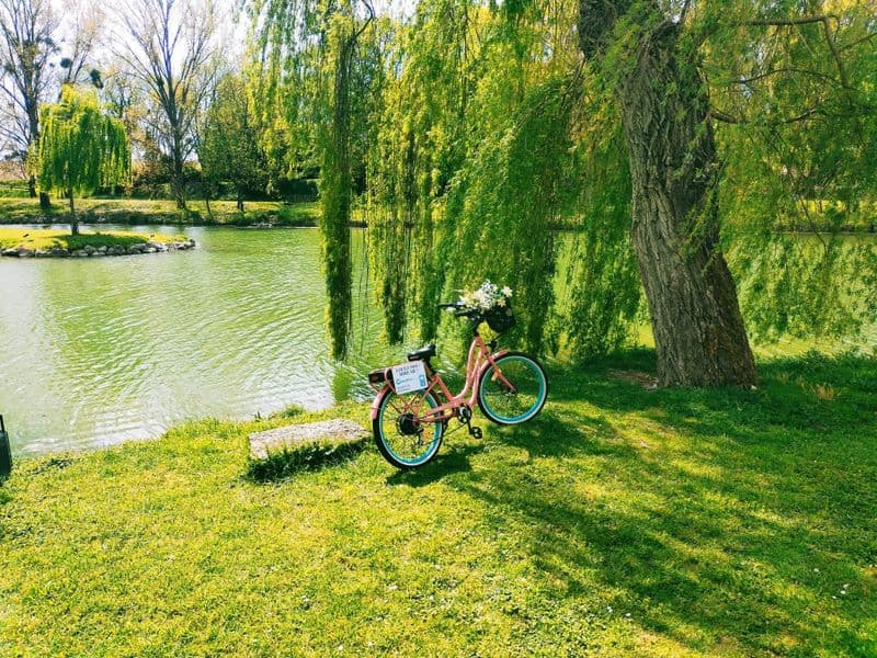Location de vélos chez GoodTurn Cycles