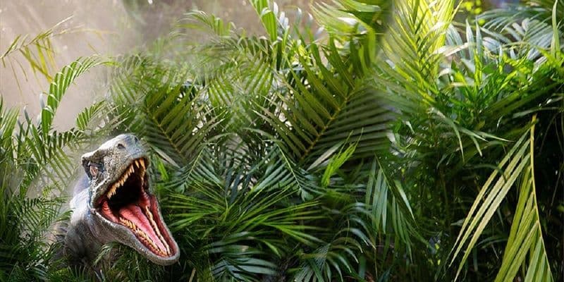 Pass Express pour Universal Studios Florida