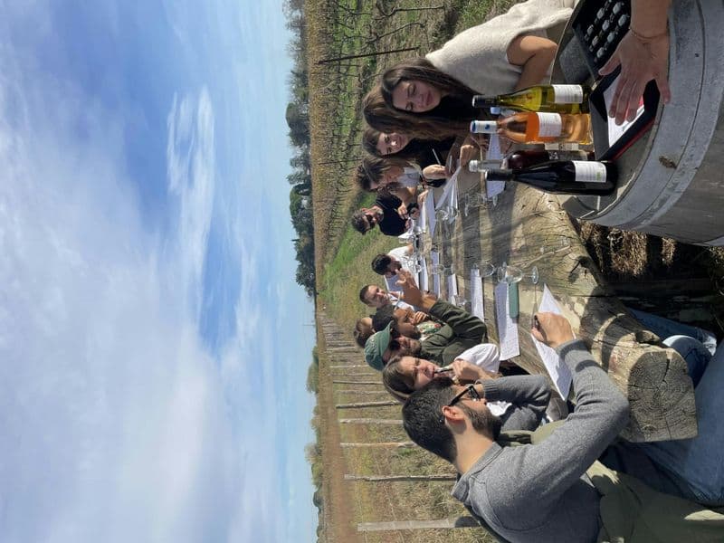 Billet Excursion d'une journée en minibus au Sable de Camargue avec déjeuner et dégustations
